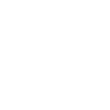 Holden logo